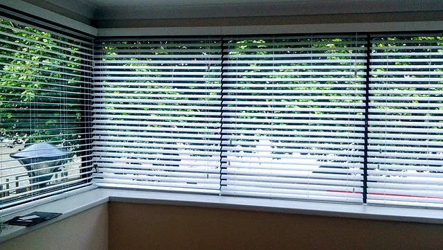 Style your home with venetian blinds